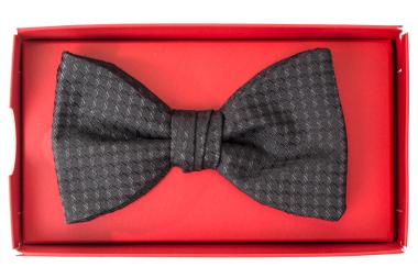 HUGO Fliege BOW TIE DRESSY 