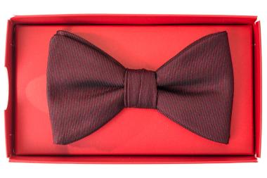 HUGO Schleife BOW TIE DRESSY 