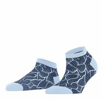 FALKE Sneakersocken STENCIL 